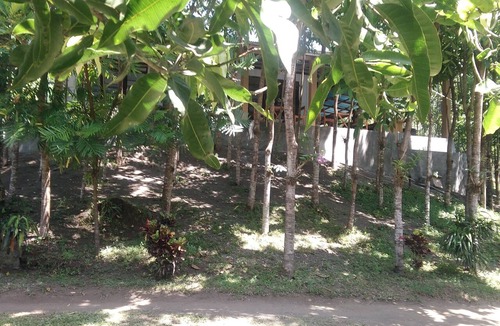 Airmadidi Cottage | Tangkoko Holiday House the holiday with nature
