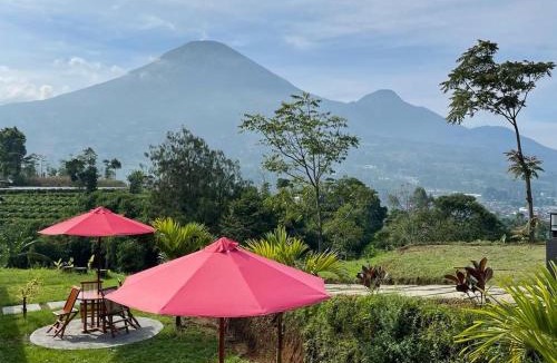 Wonosobo House | Teras Seroja Homestay