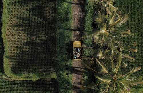 Sayan Villa | The Ridge Bali