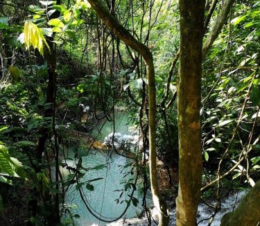 Bukit Lawang Hotel | TheJungleGuide - Lodges & Treks