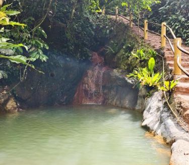 Bukit Lawang Hotel | TheJungleGuide - Lodges & Treks