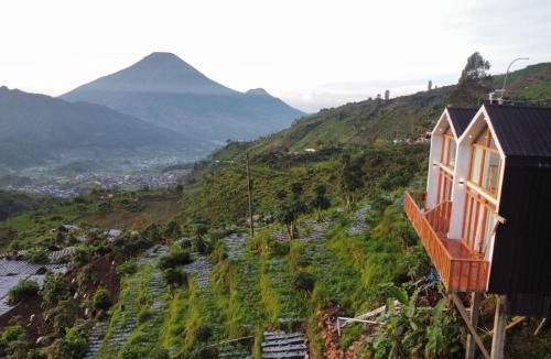 Kejajar Villa | Tribuana villa Dieng