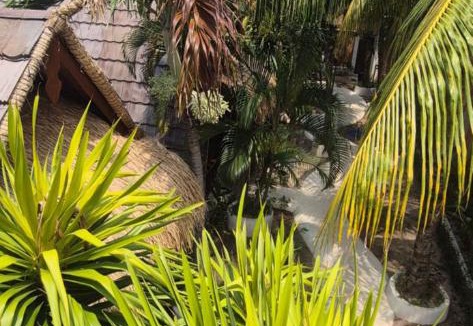 Gili Air Resort | Tricky Trees Sunset Bungalows