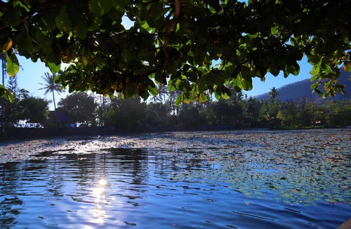 Candi Dasa Cottage | Tropical Garden (Superior) Resort 50 meters from the beach