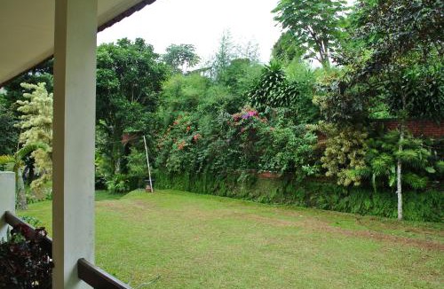 Megamendung Villa | Villa (Entire) Teddy 6500m2 land@Gadog 650m above sea level.
