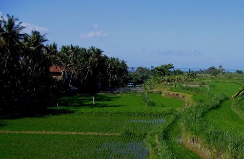 Medahan Villa | Villa Island of the Gods, Bali