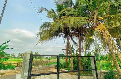 Ngemplak Villa | Villa Kamar Tamu Selomartani 3