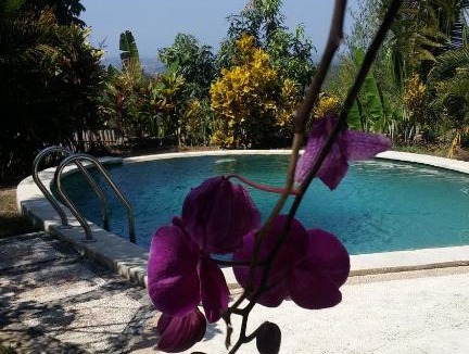 Negara House | West Bali Villas-Umasari Resort