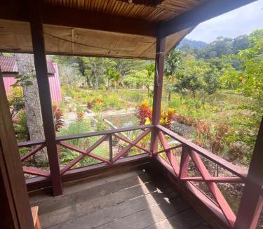 Ketambe House | Wisma cinta alam ketambe