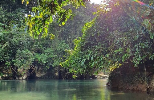Langkat House | Your home in the Tangkahan Jungle