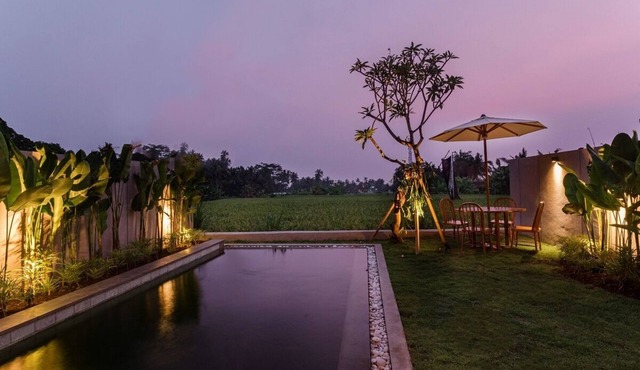 3 Bedroom Private Villa with Rice Field View in Ubud