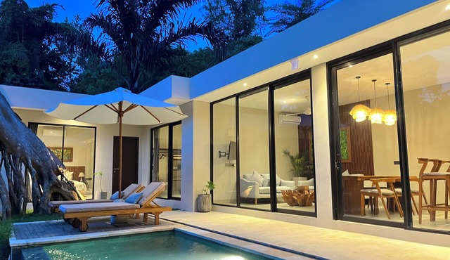 3-bedroom villa in fantastic ubud Bali with cool AC breeze in Bali