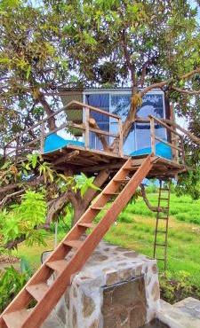 A Mango Tree House with a private swimming pool in Tegallengah
