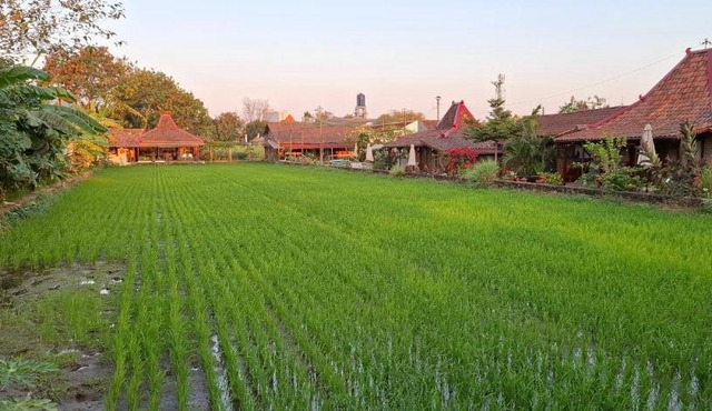 Alamanda Villas, Family Villas, Pool & Local Tours in Yogyakarta