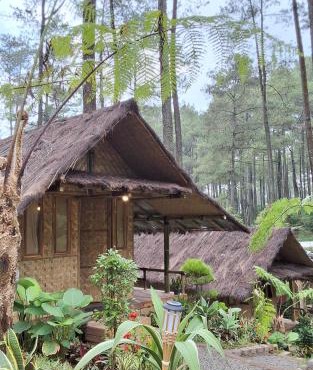 ALAMSUKA Cikole in Tangkubanperahu