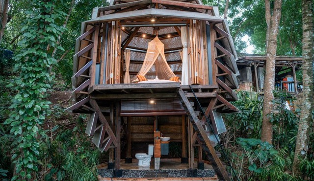 Ant House Sidemen in Silebeng
