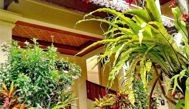 Arjuna Homestay Ubud in Ubud
