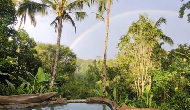 Artsy Cabin Jungle Pool & Unique Car Bath in Tampaksiring