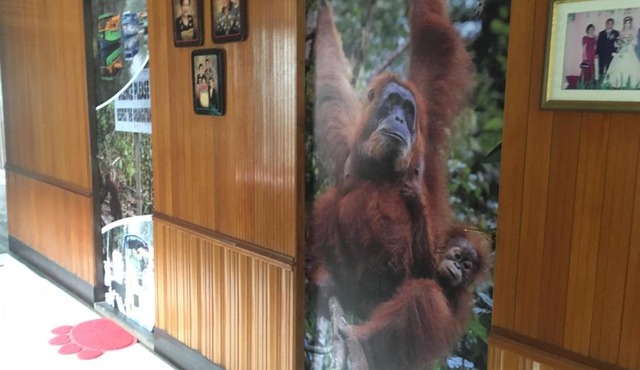 Arut Riverside Guesthouse in Pangkalan Bun