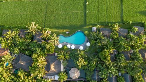 Arya Villas Ubud in Ubud