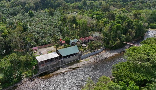 Asim Paris Guesthouse & jungle trekking in Bukit Lawang