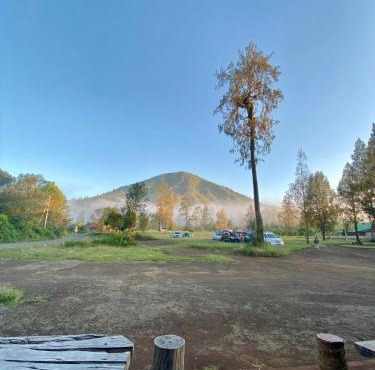 Avrilla Ijen Cool homestay in Banyuwangi