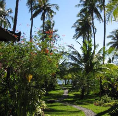 Bali Sandat in Tejakula
