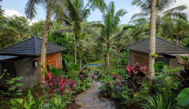 Bali Secret Jungle in Selemadeg