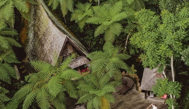 Batak Legacy, A Jungle Hideaway in Baturiti