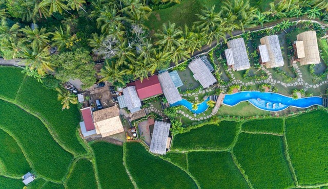 Beautiful Open Living with Bee House in Ubud