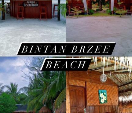Bintan Brzee Beach in Bintan Island - Bungalow 1 in Berakit