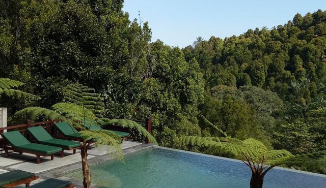 BINTANG MUNDUK in Munduk