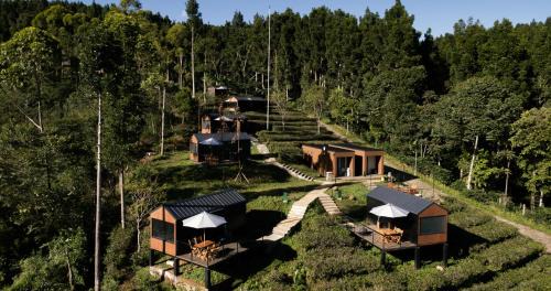 Bobocabin Dieng Pass, Batang in Bawang