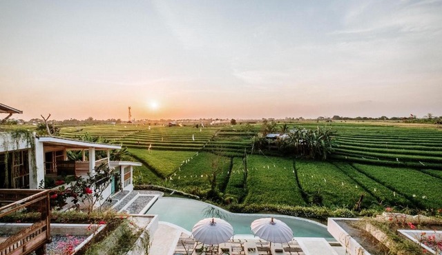 BoHo Canggu in Canggu
