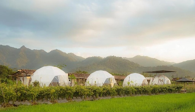 Borobudur Luxury Glamping in Magelang