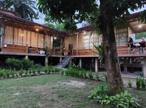 Bua Guesthouse Tangkahan in Tangkahan