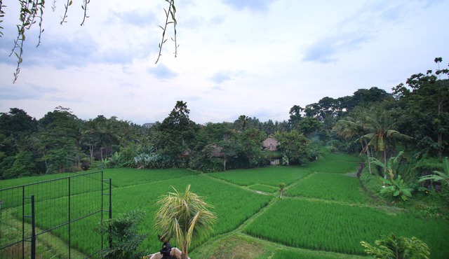 Byasa Ubud in Ubud