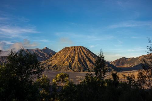 Cemara Indah Hotel in Bromo
