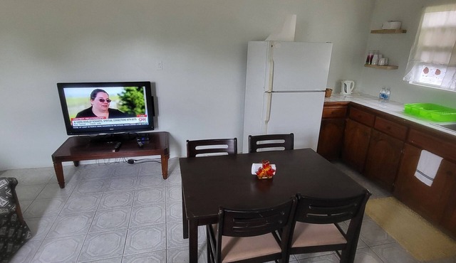 Charming 2-bedroom apartment in New Castle with WiFi, AC and full laundry
