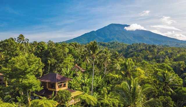 Charming Family Bungalow in the treetops at Sarinbuana Eco Lodge in Tabanan