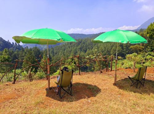 Ciwidey Jungle Camp & Cabin in Gambung