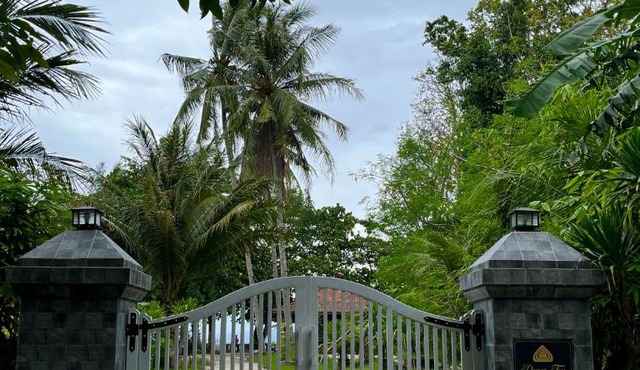 Damar Tree Resort in Krui