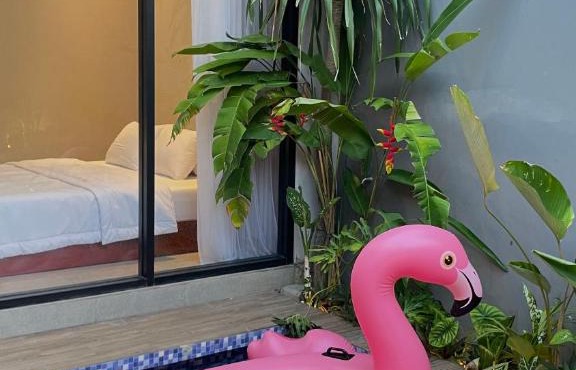 Damey Villas with Private Pool Gunungkidul in Selang