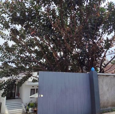 Dinasty Living Villa in Cileunyi