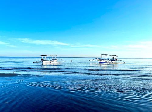 Dolphin Tour Private Villa Packet At Seririt in Banjar