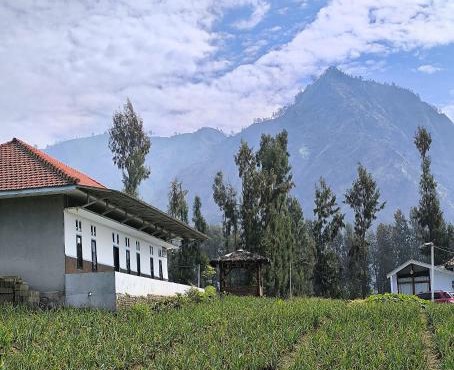 Elen Homestay by ABM in Bromo