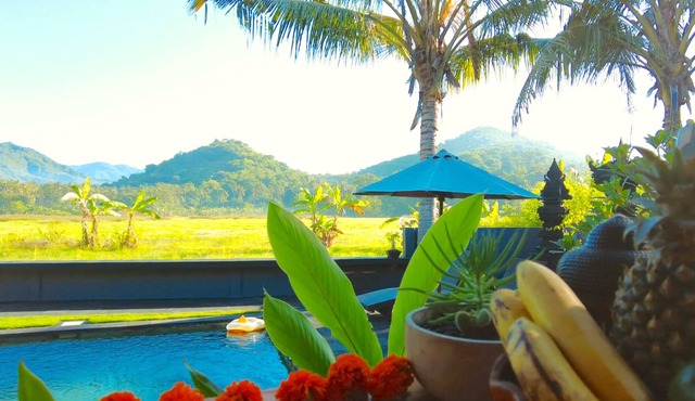 Epic Wood House with Sauna, Pool & Mountain View! in Manggis