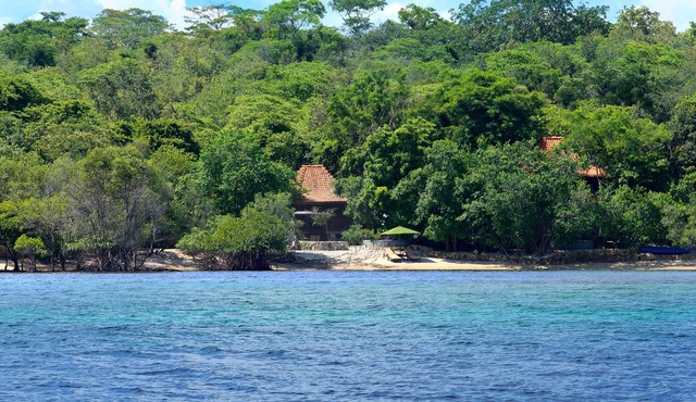 Forest Villa @ West Bali National Park in Singaraja