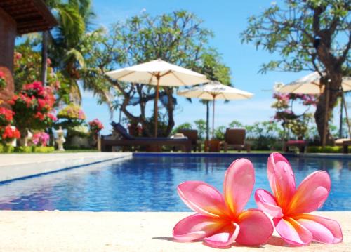 Frangipani Beach Hotel in Lovina