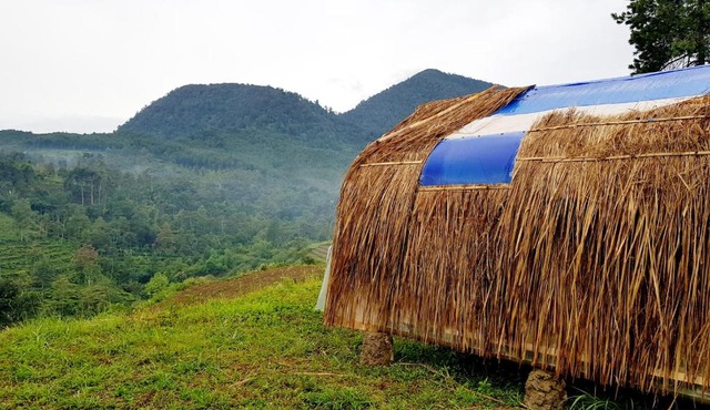 Glamping di Jungle, Ciwidey in Bandung
